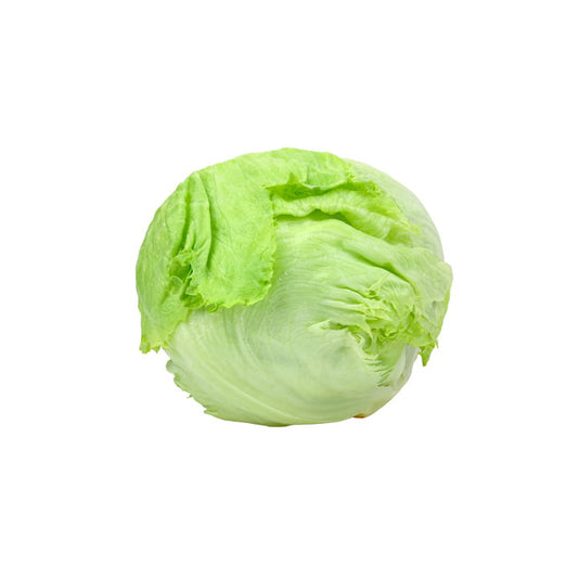 LECHUGA BOLA