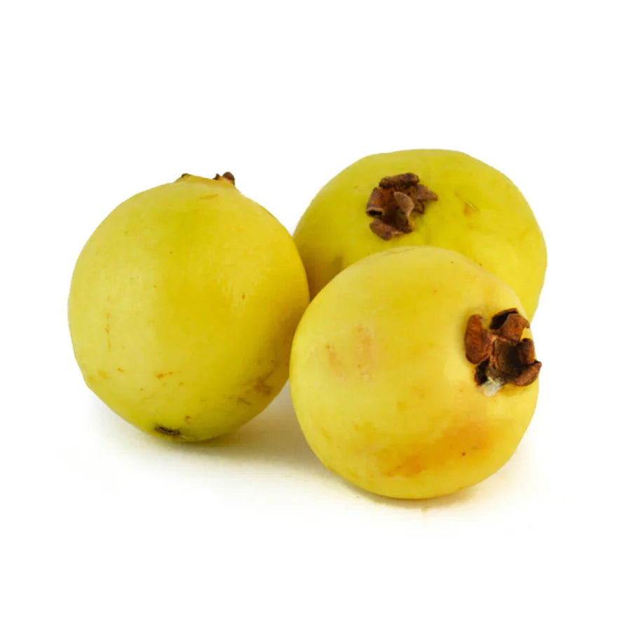 GUAYABA